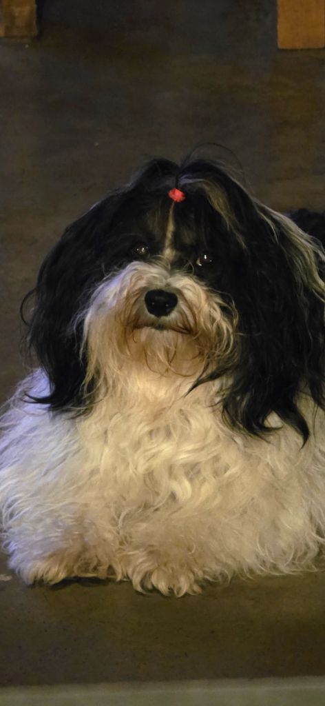 Rumba Des Terres De Pallanne